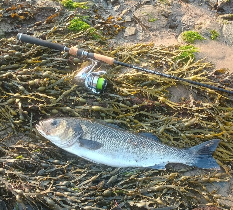 Lure Adventures Returns – My Blogging Intentions