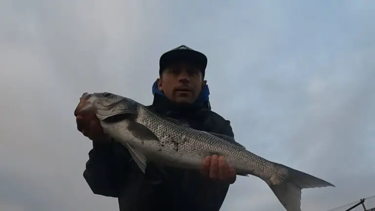 Autumn Time For Big Bass